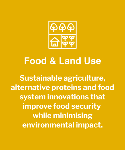 Food & Land Use Description