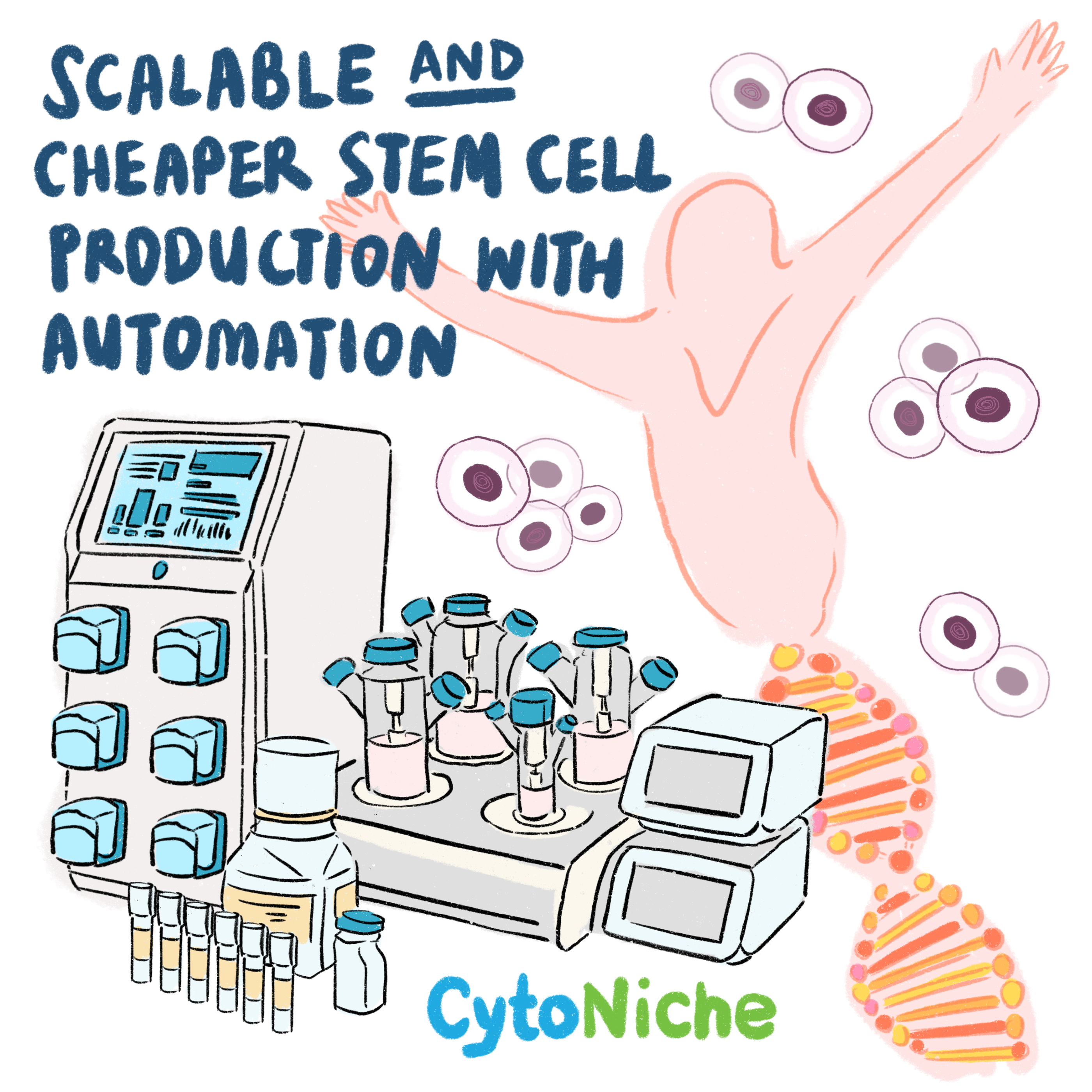 CytoNiche 3D cell culture technology microspheres